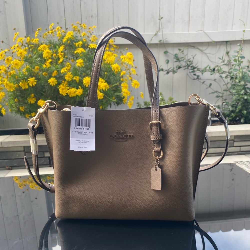 NWT Coach Mollie Tote Bag 25 in Dark Stone